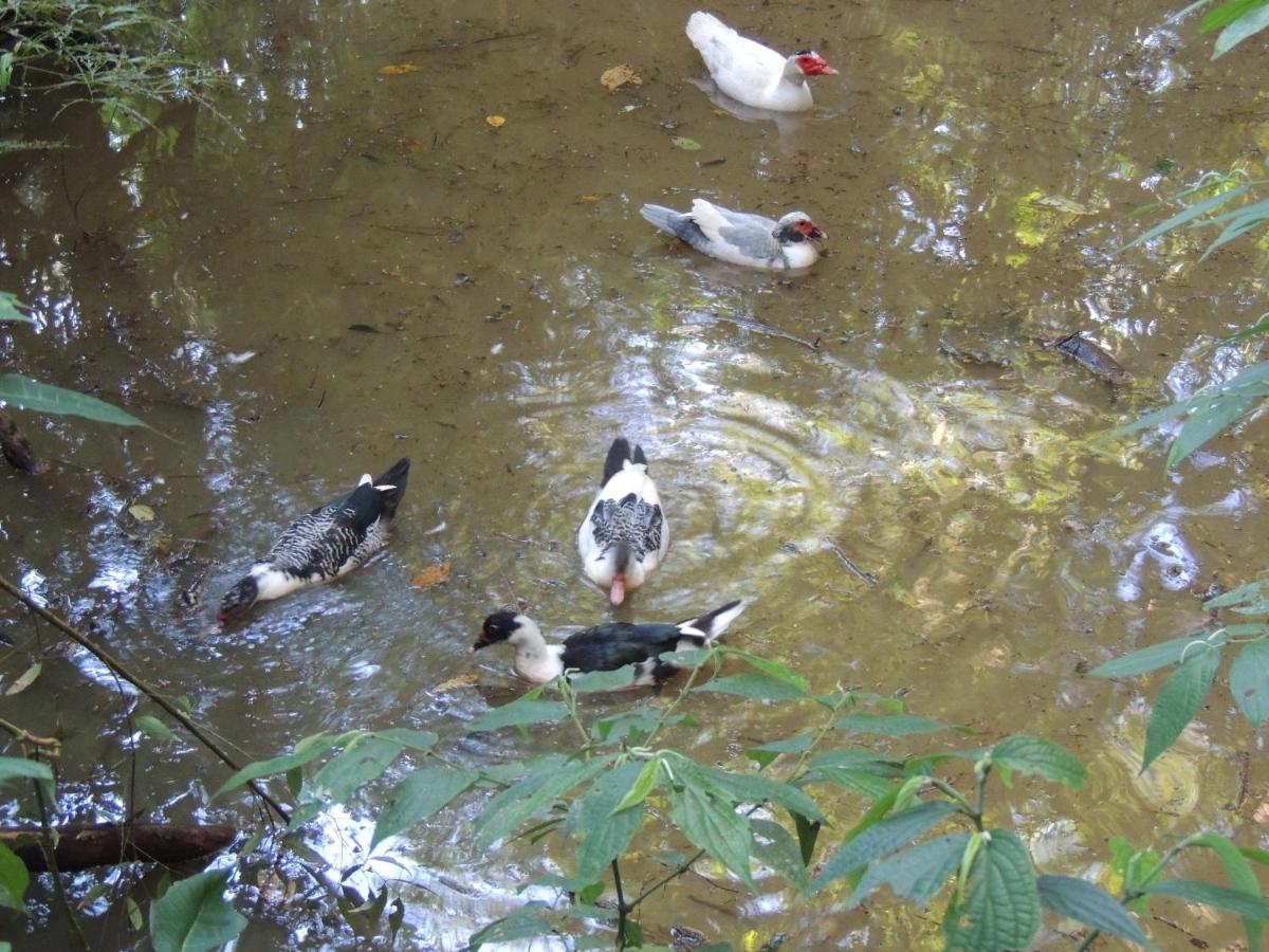 To Na Roca Villa Cunha Luaran gambar