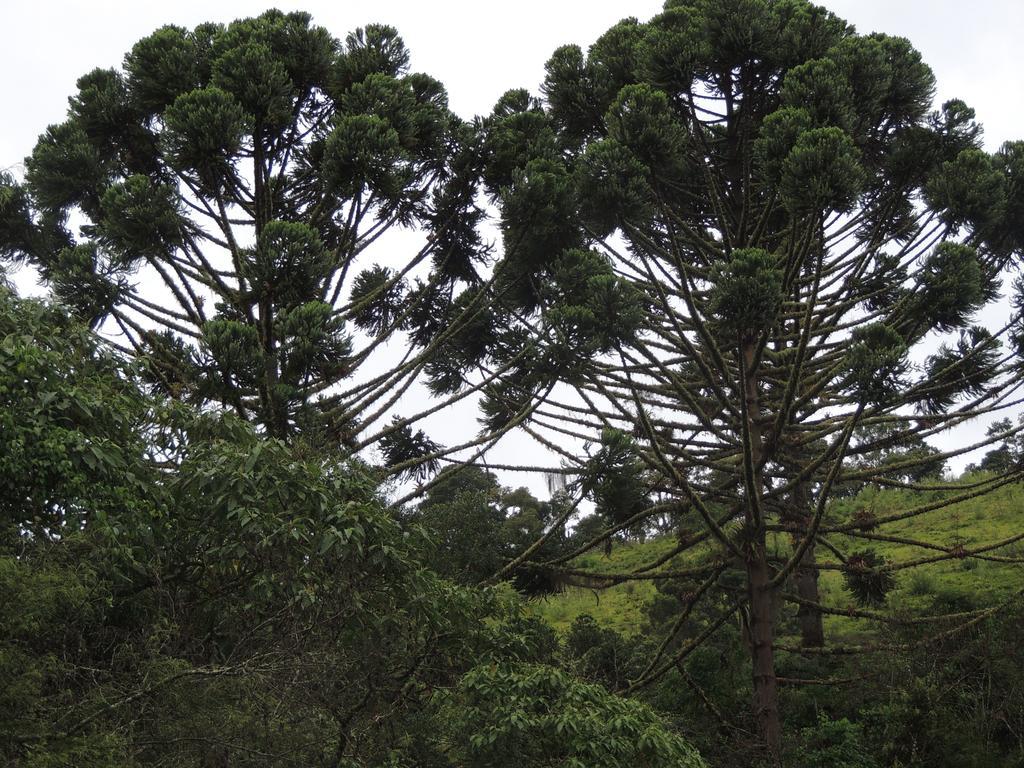 To Na Roca Villa Cunha Luaran gambar