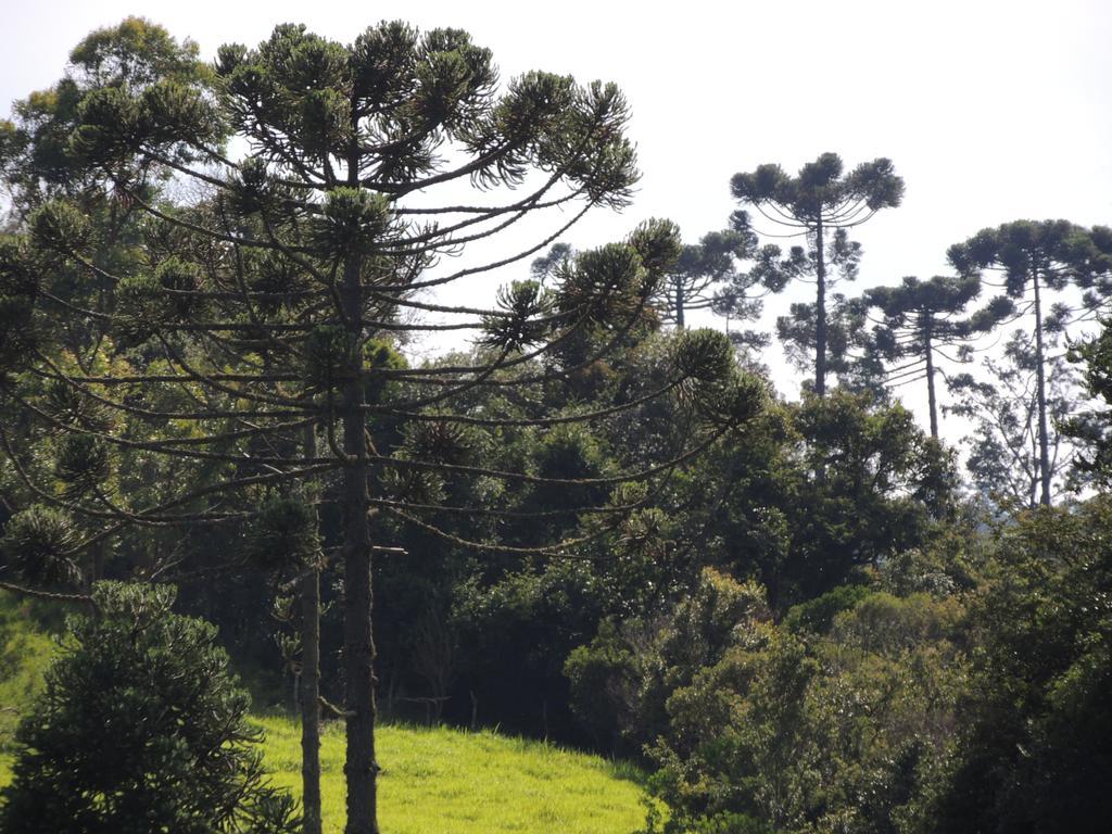 To Na Roca Villa Cunha Luaran gambar