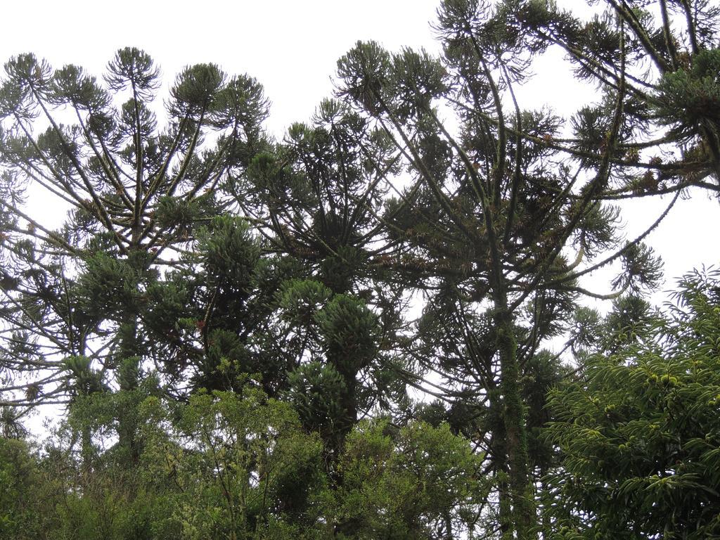 To Na Roca Villa Cunha Luaran gambar