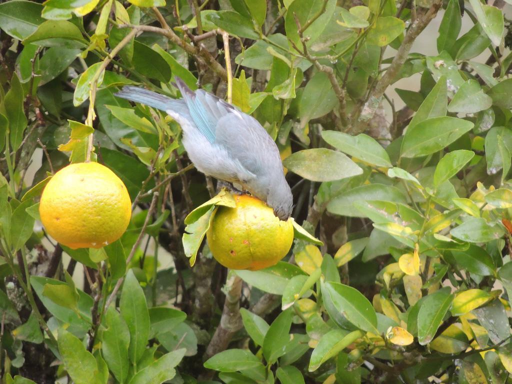 To Na Roca Villa Cunha Luaran gambar