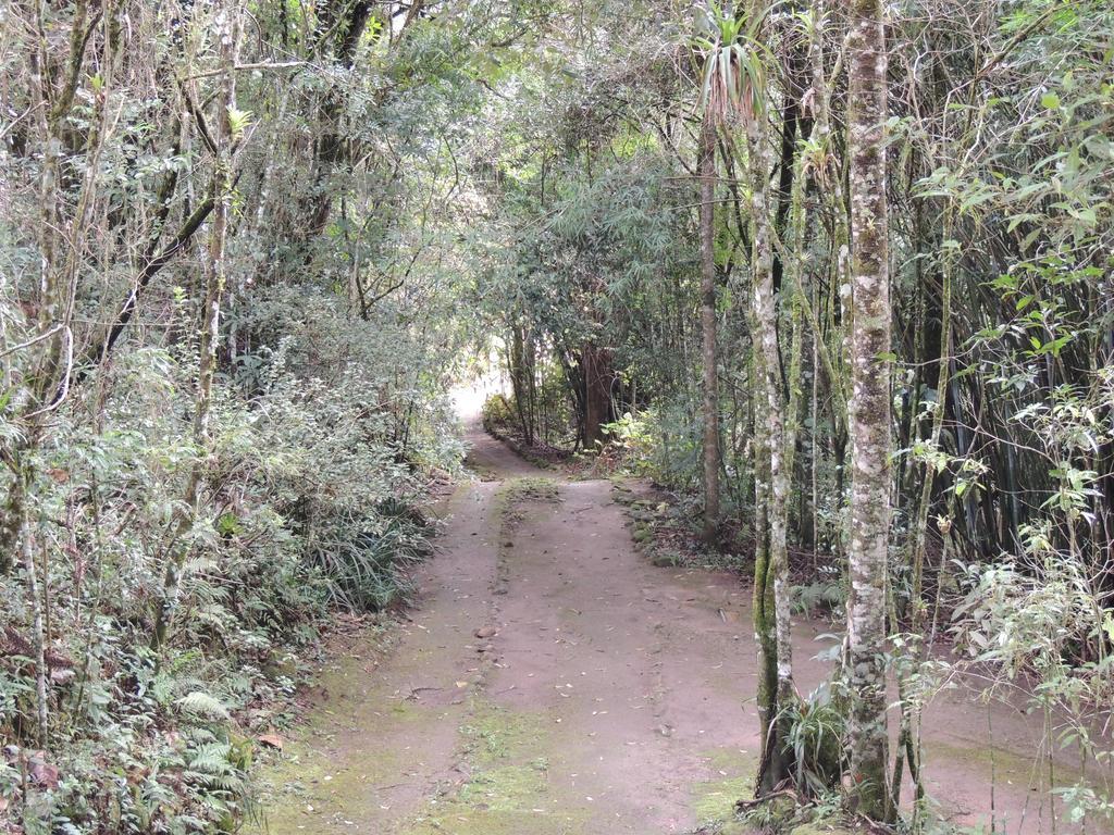To Na Roca Villa Cunha Luaran gambar